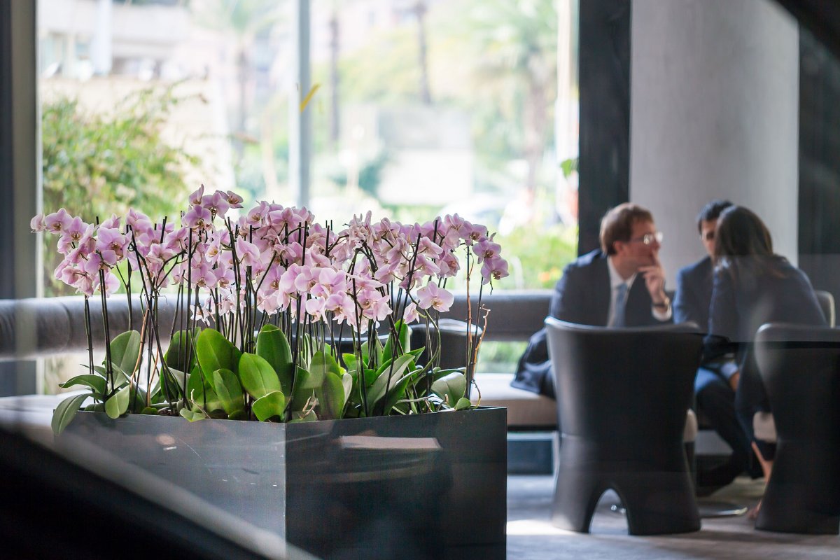 The Nicolaus Hotel 7